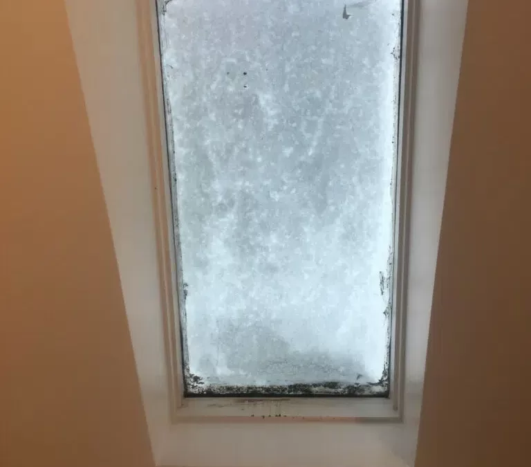 Skylights Pros and Cons